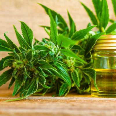 Experience the Healing Power of CBD