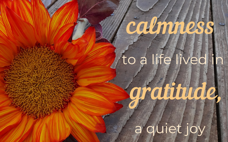 gratitude thanksgiving